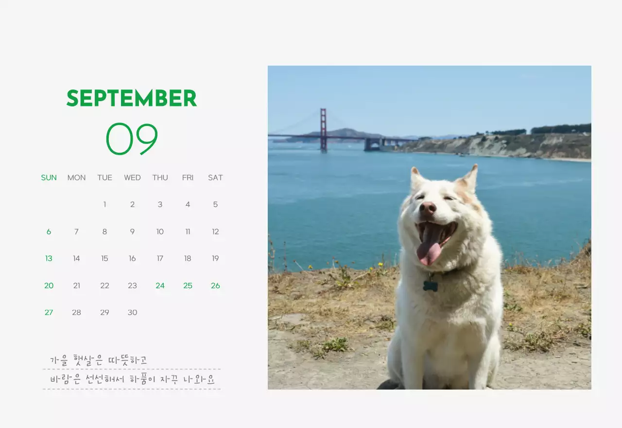 초록색 포인트 컬러에 강아지 사진과 귀여운 메시지가 있는 달력