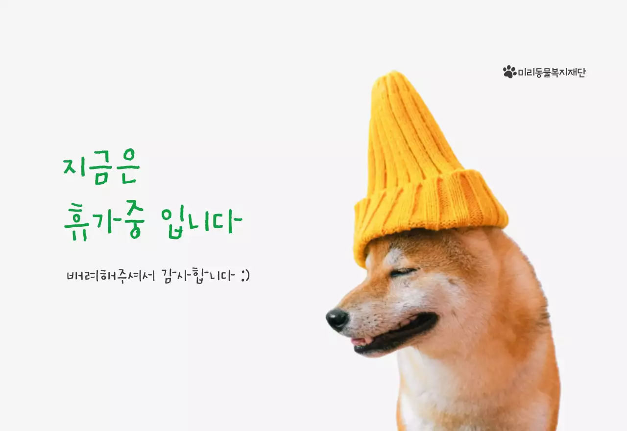 초록색 포인트 컬러에 강아지 사진과 귀여운 메시지가 있는 달력