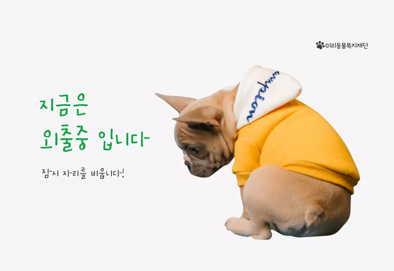 초록색 포인트 컬러에 강아지 사진과 귀여운 메시지가 있는 달력