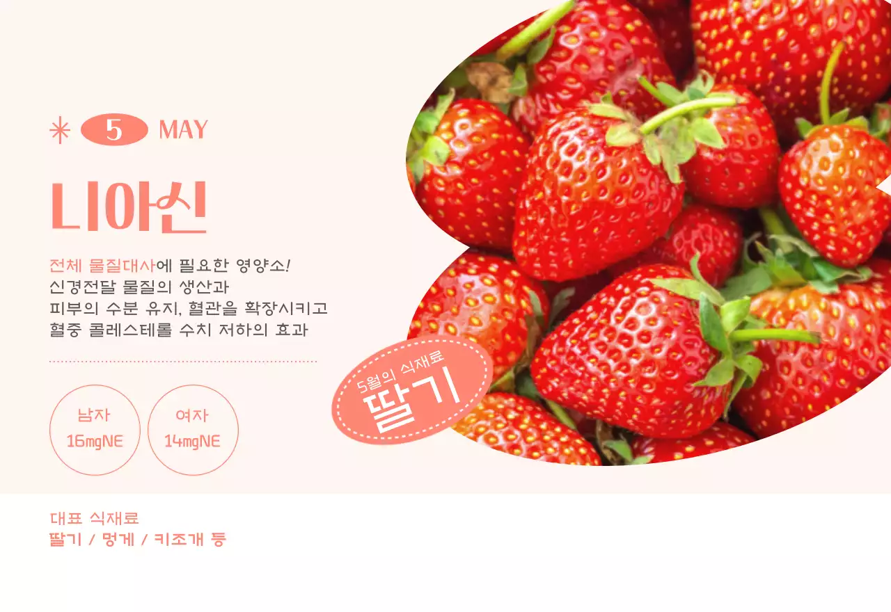 녹색 사진 프레임의 병원 달력