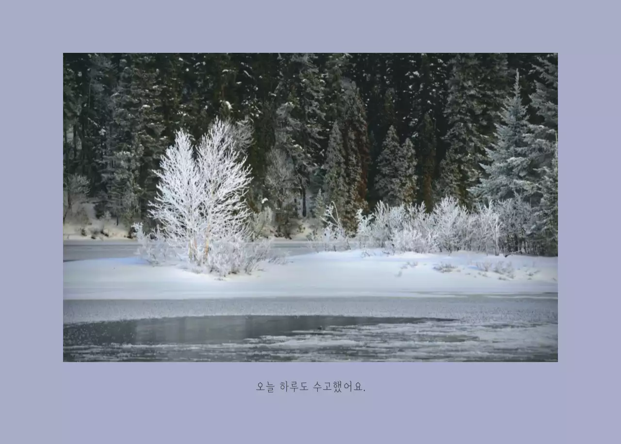 화이트 깔끔한 보테니컬 자연