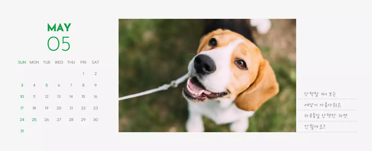 초록색 포인트 컬러에 강아지 사진과 귀여운 메시지가 있는 달력