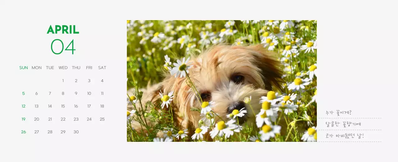 초록색 포인트 컬러에 강아지 사진과 귀여운 메시지가 있는 달력
