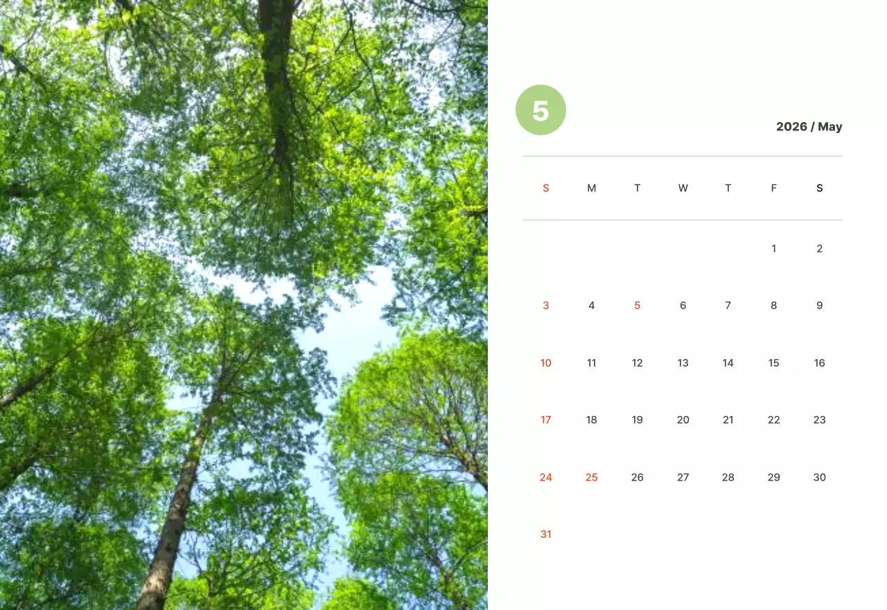 파스텔 컬러의 따뜻한 풍경 사진