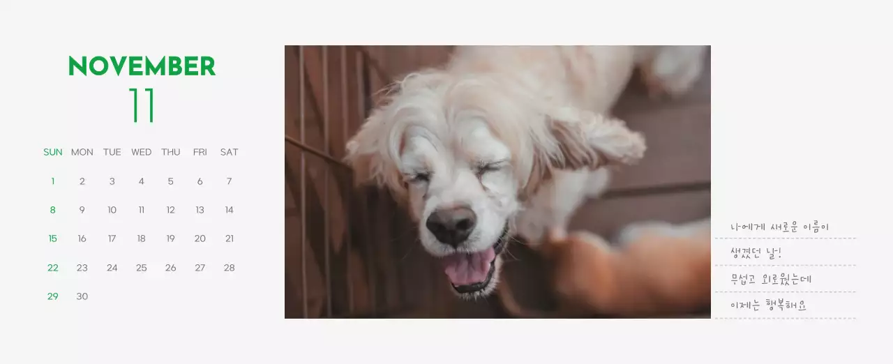초록색 포인트 컬러에 강아지 사진과 귀여운 메시지가 있는 달력