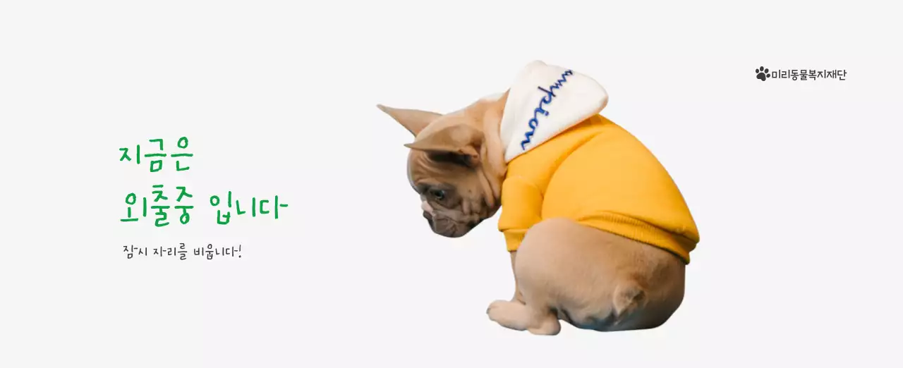 초록색 포인트 컬러에 강아지 사진과 귀여운 메시지가 있는 달력