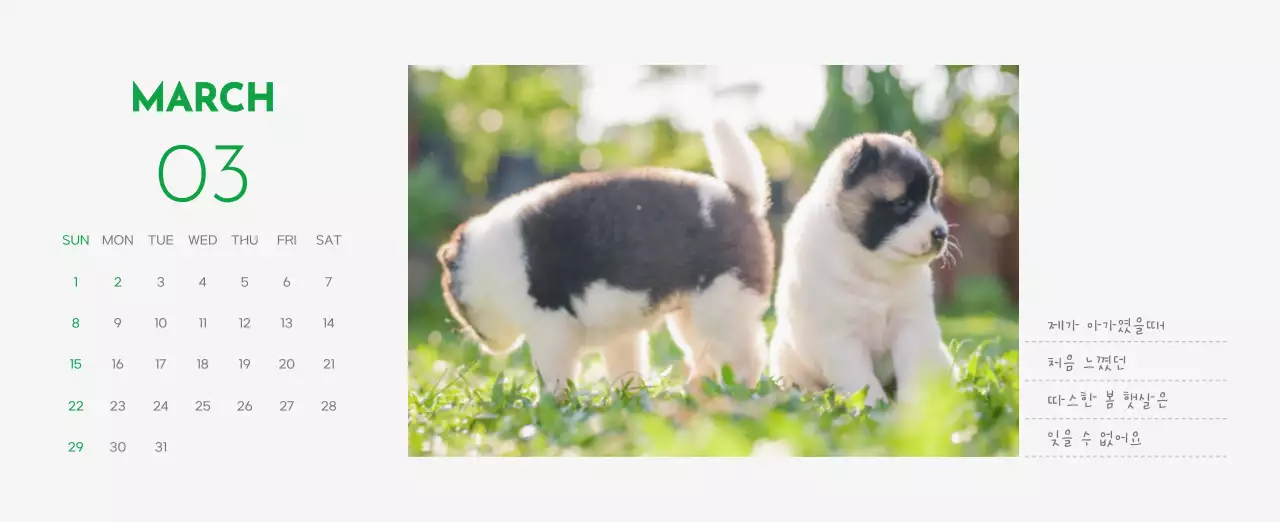 초록색 포인트 컬러에 강아지 사진과 귀여운 메시지가 있는 달력