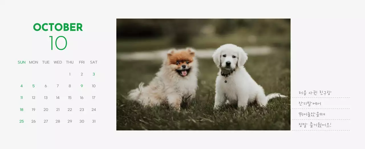 초록색 포인트 컬러에 강아지 사진과 귀여운 메시지가 있는 달력
