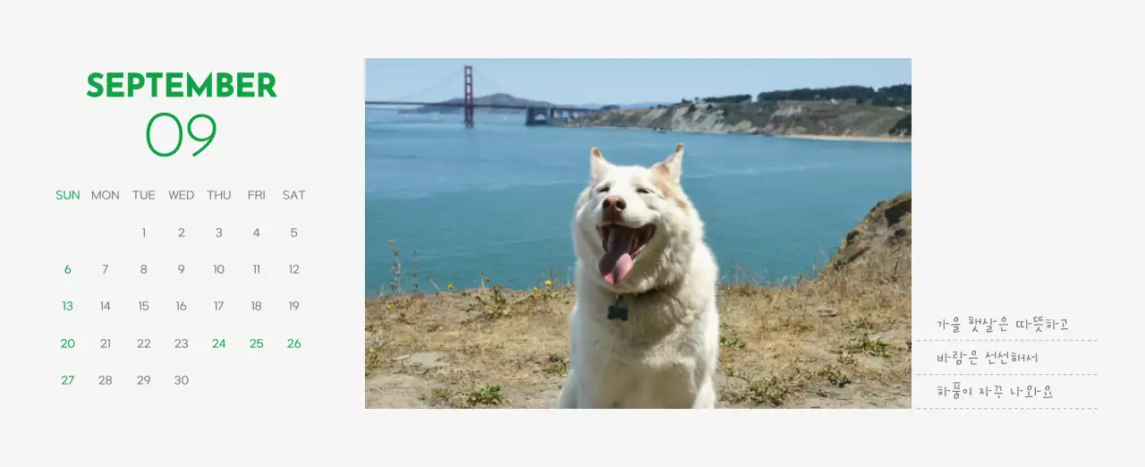 초록색 포인트 컬러에 강아지 사진과 귀여운 메시지가 있는 달력