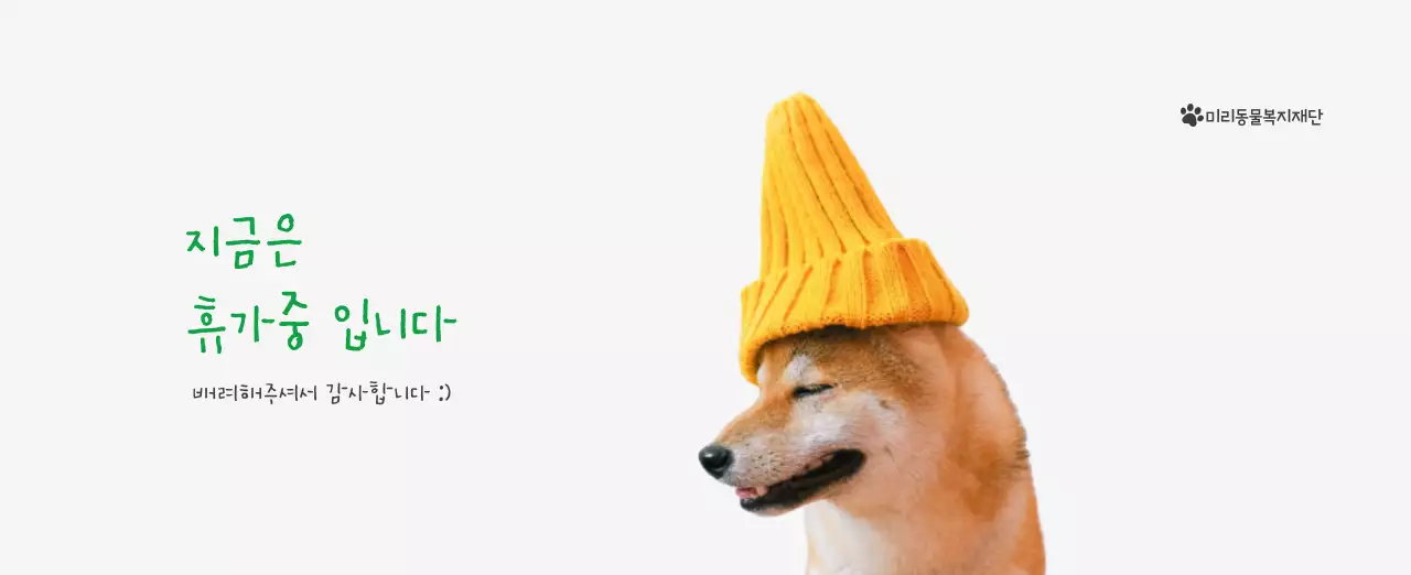 초록색 포인트 컬러에 강아지 사진과 귀여운 메시지가 있는 달력