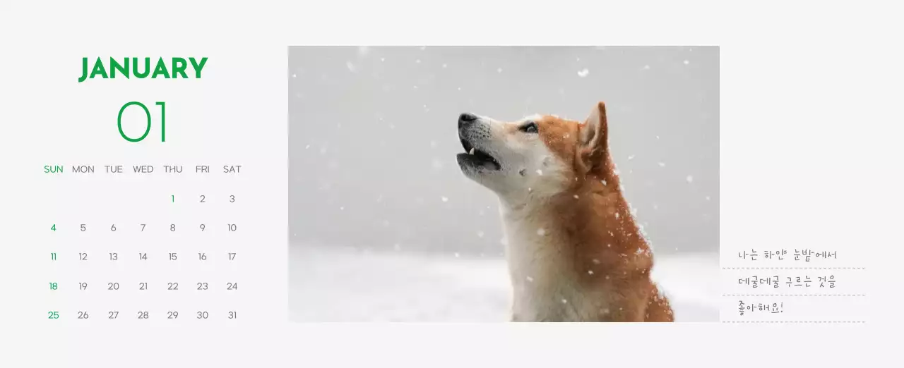 초록색 포인트 컬러에 강아지 사진과 귀여운 메시지가 있는 달력