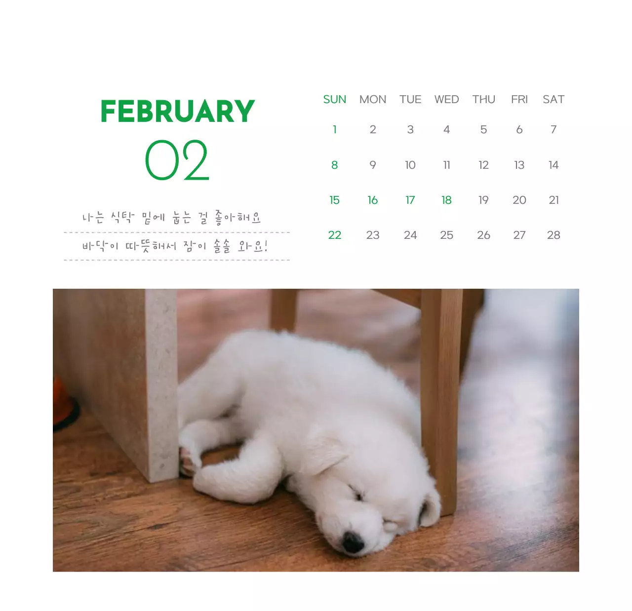 초록색 포인트 컬러에 강아지 사진과 귀여운 메시지가 있는 달력