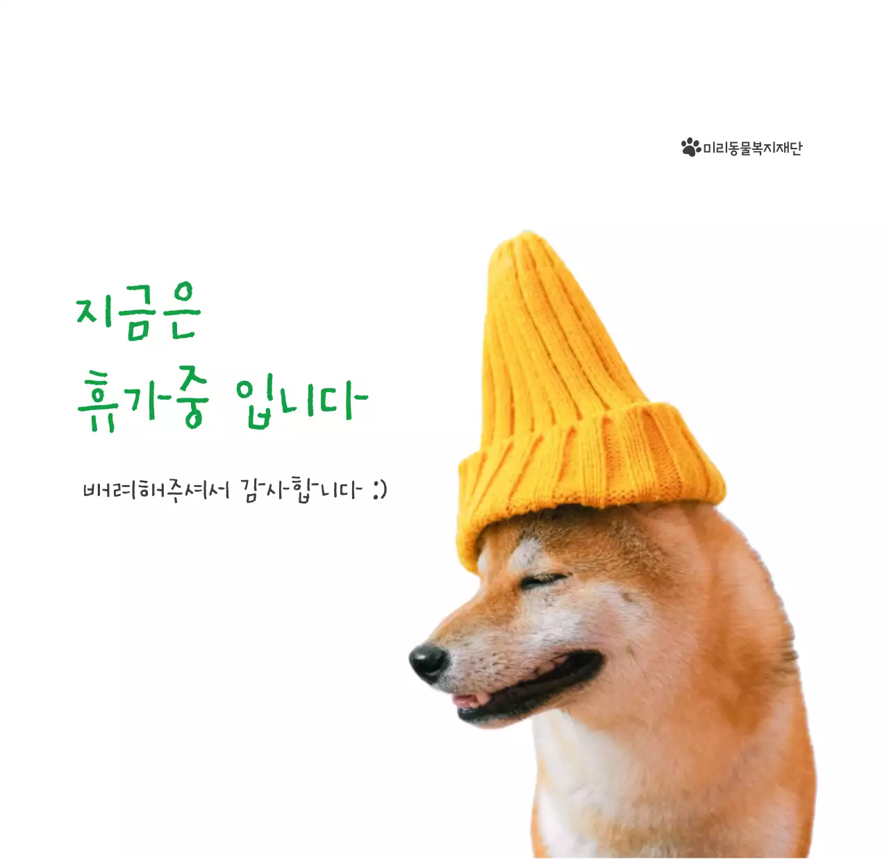 초록색 포인트 컬러에 강아지 사진과 귀여운 메시지가 있는 달력