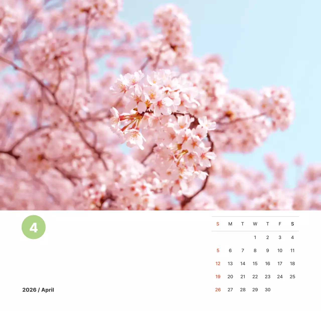 파스텔 컬러의 따뜻한 풍경 사진