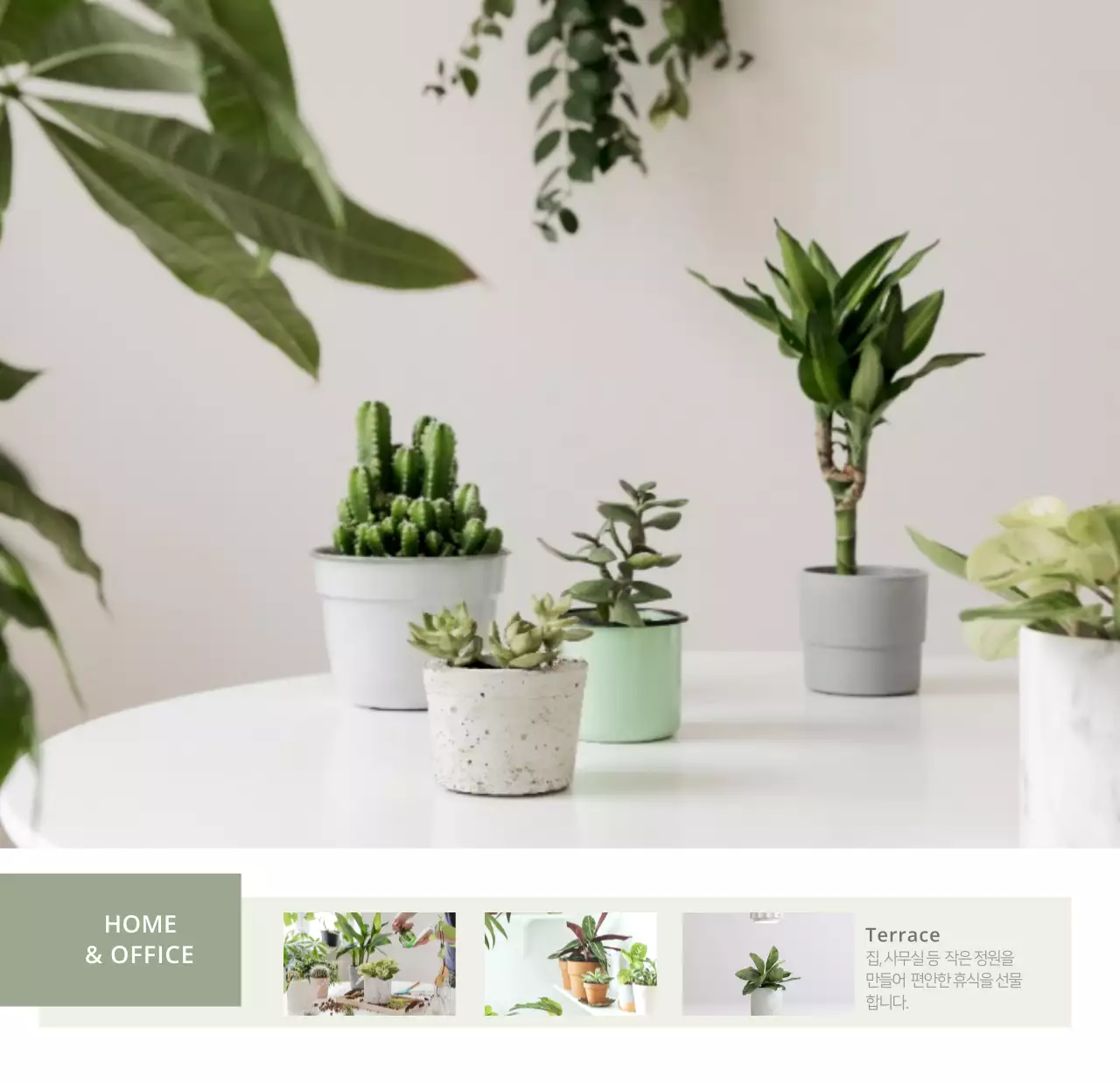 심플한 화이트톤 인테리어사진 탁상달력