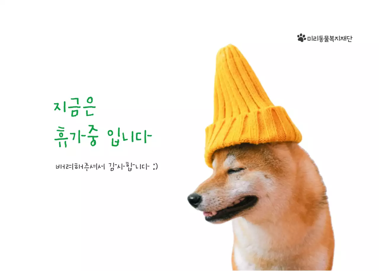 초록색 포인트 컬러에 강아지 사진과 귀여운 메시지가 있는 달력