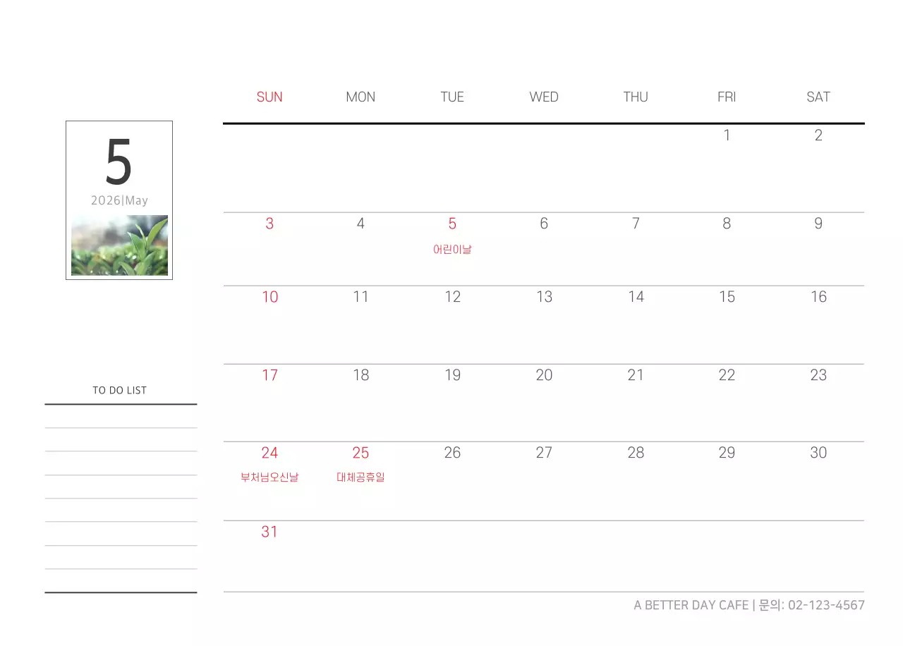 화이트 깔끔한 보테니컬 자연