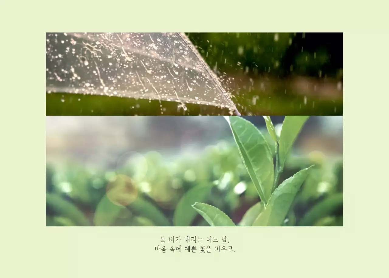 화이트 깔끔한 보테니컬 자연