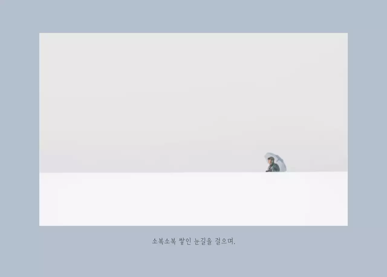 화이트 깔끔한 보테니컬 자연