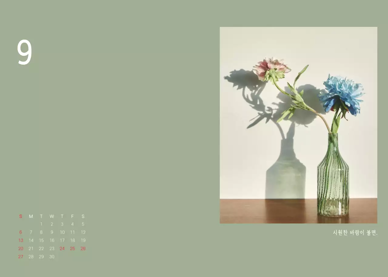 화이트 깔끔한 보테니컬 자연