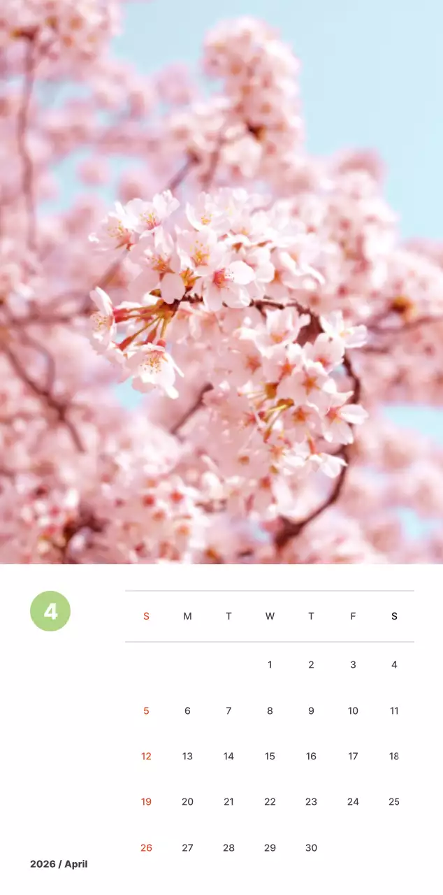 파스텔 컬러의 따뜻한 풍경 사진