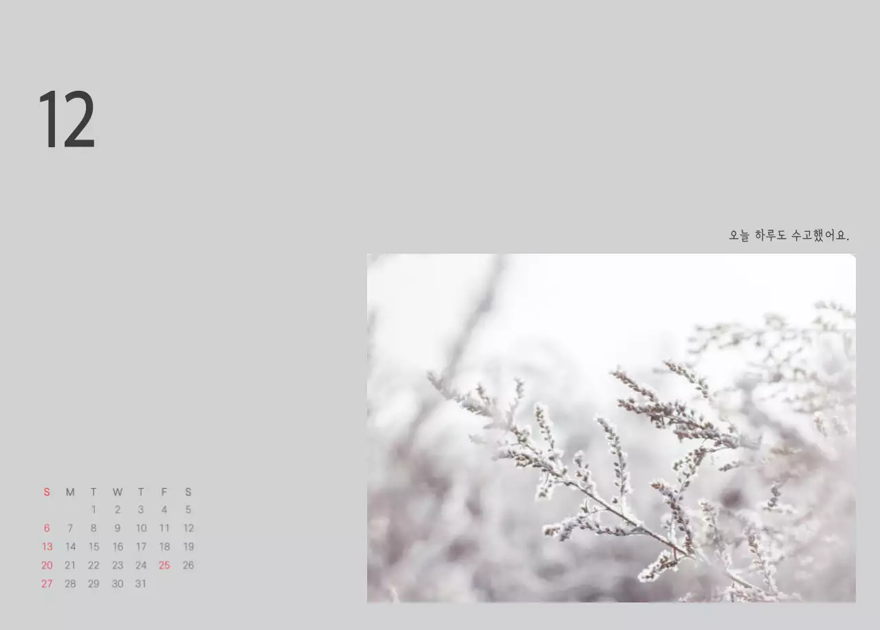 화이트 깔끔한 보테니컬 자연