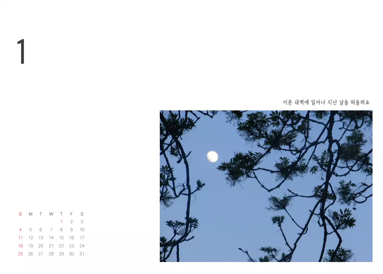 화이트 깔끔한 보테니컬 자연