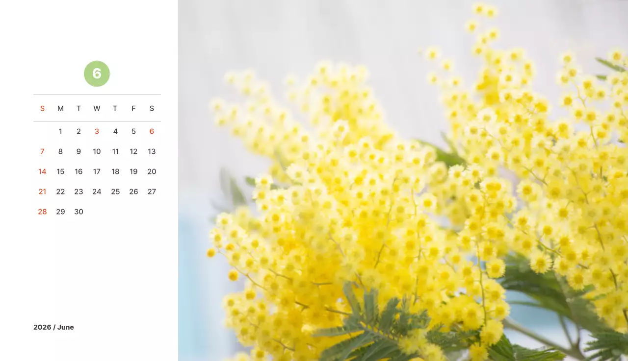 파스텔 컬러의 따뜻한 풍경 사진