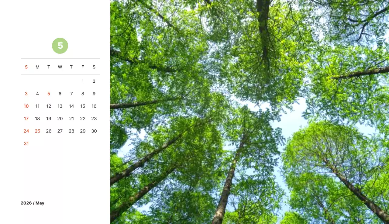 파스텔 컬러의 따뜻한 풍경 사진