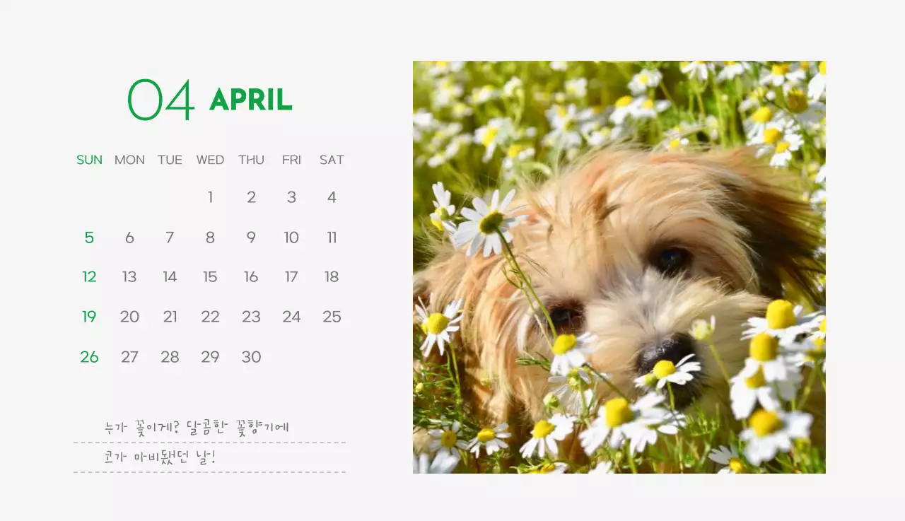 초록색 포인트 컬러에 강아지 사진과 귀여운 메시지가 있는 달력