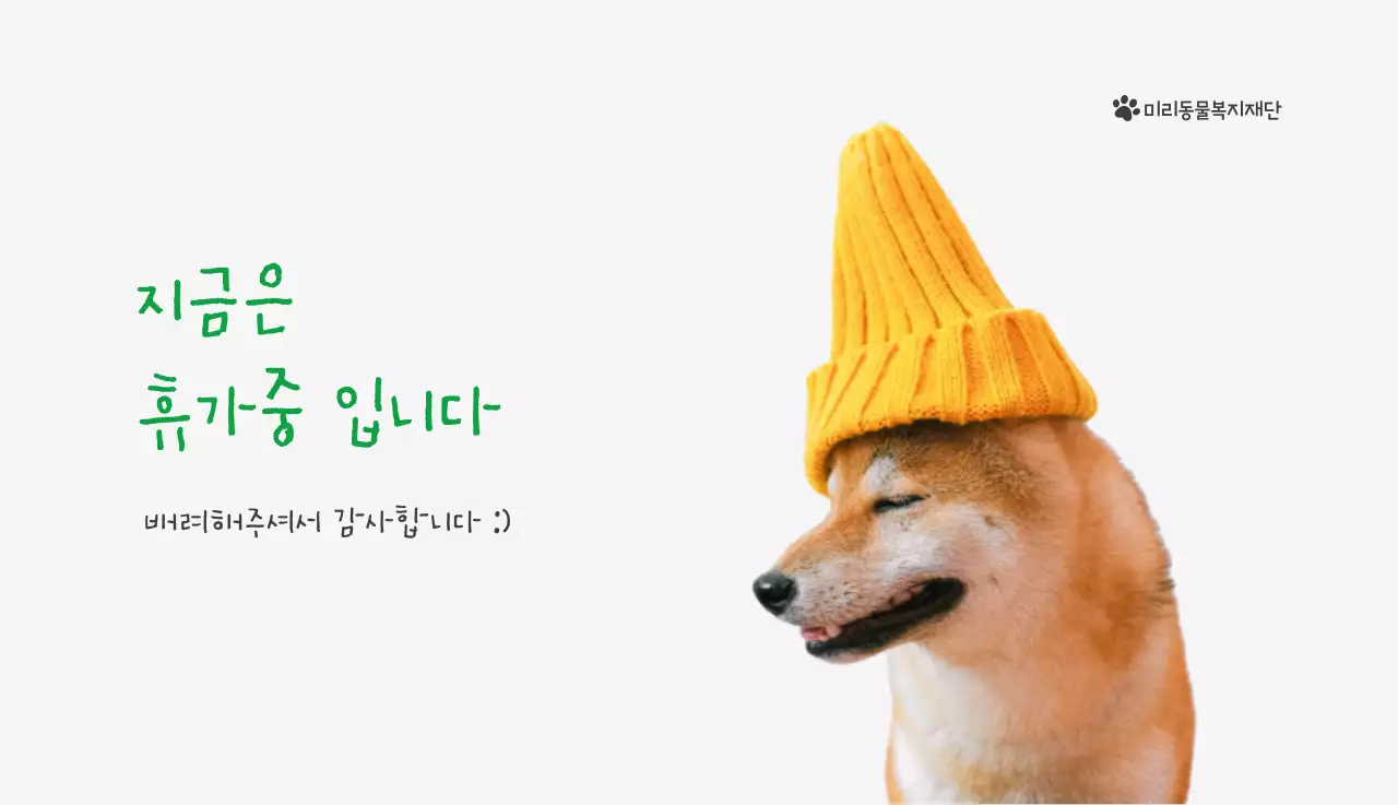 초록색 포인트 컬러에 강아지 사진과 귀여운 메시지가 있는 달력