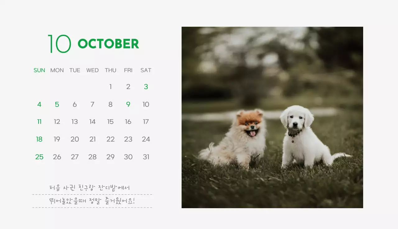 초록색 포인트 컬러에 강아지 사진과 귀여운 메시지가 있는 달력