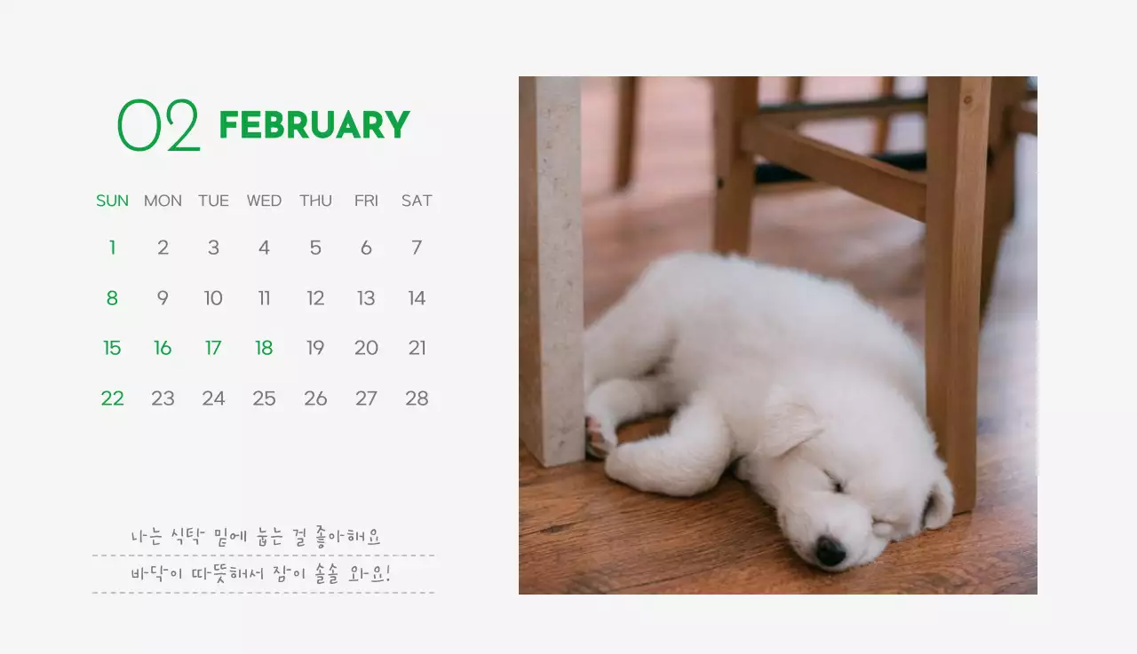 초록색 포인트 컬러에 강아지 사진과 귀여운 메시지가 있는 달력