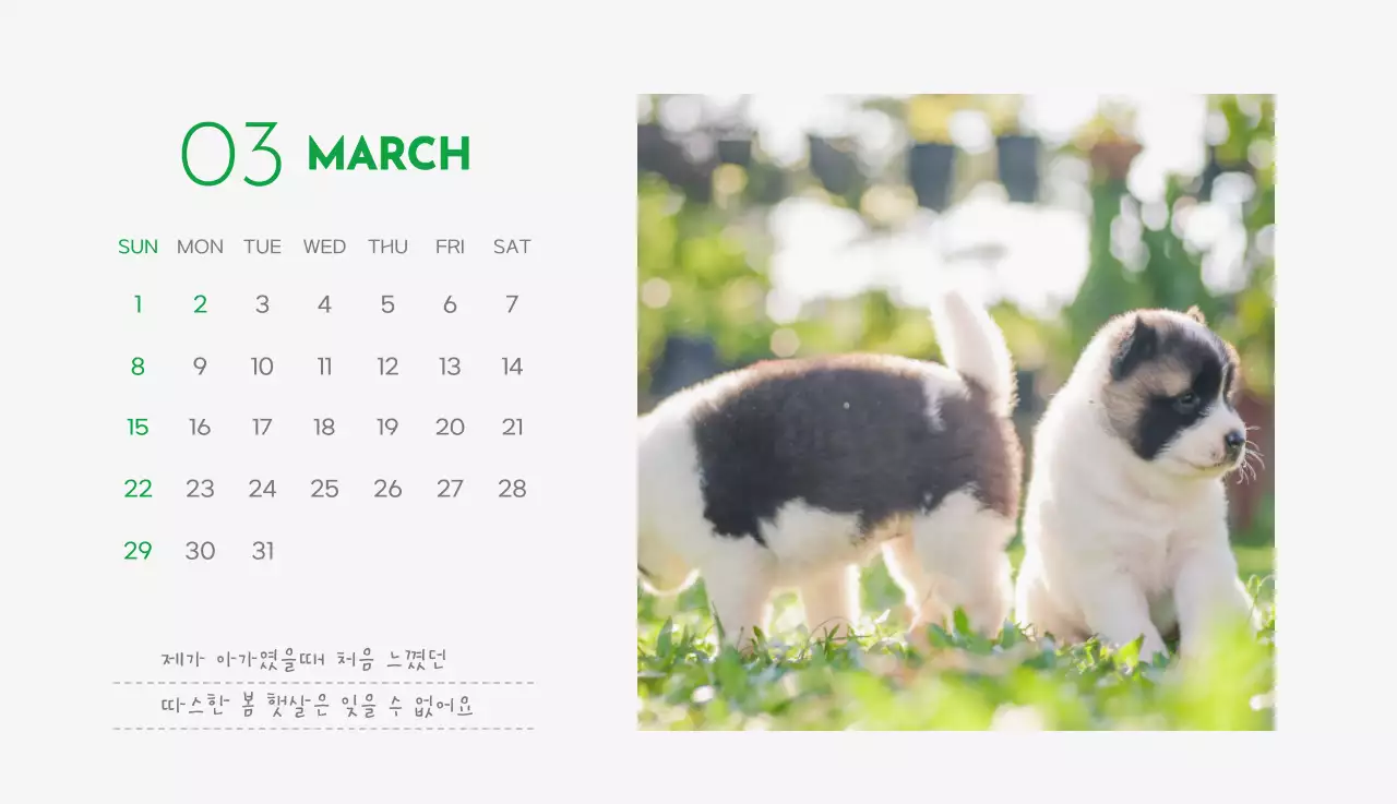 초록색 포인트 컬러에 강아지 사진과 귀여운 메시지가 있는 달력