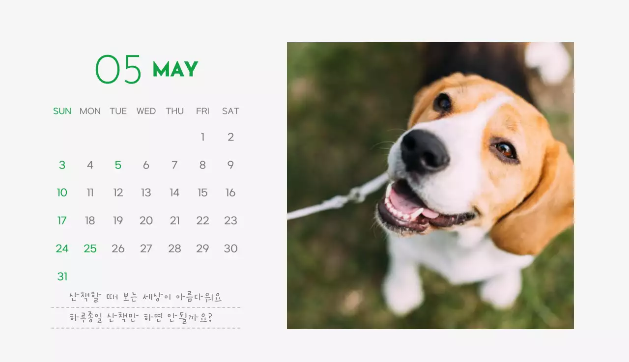 초록색 포인트 컬러에 강아지 사진과 귀여운 메시지가 있는 달력