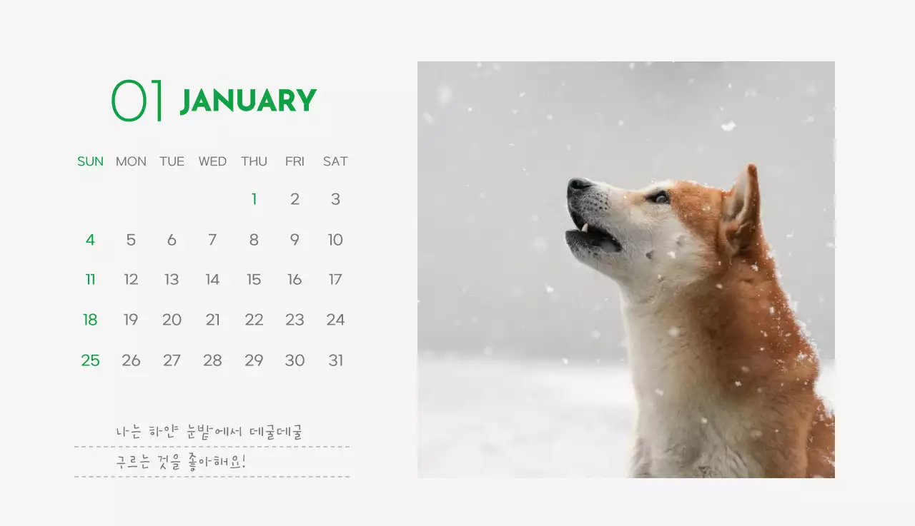 초록색 포인트 컬러에 강아지 사진과 귀여운 메시지가 있는 달력