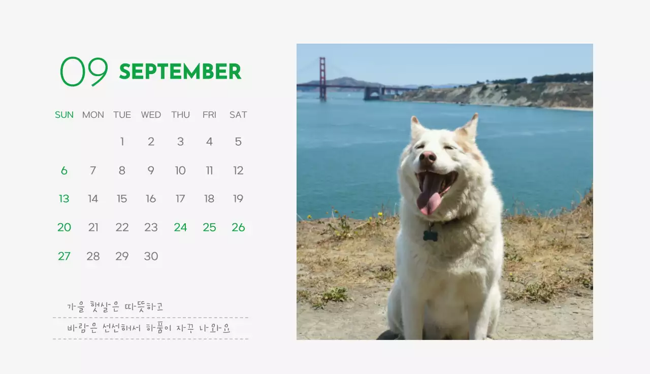 초록색 포인트 컬러에 강아지 사진과 귀여운 메시지가 있는 달력