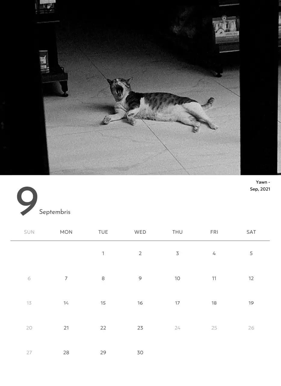 깔끔하고 도시적인 느낌의 사진 달력