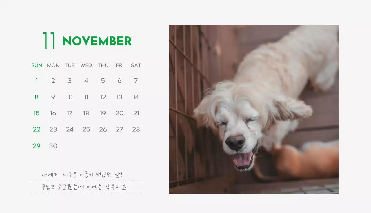 초록색 포인트 컬러에 강아지 사진과 귀여운 메시지가 있는 달력