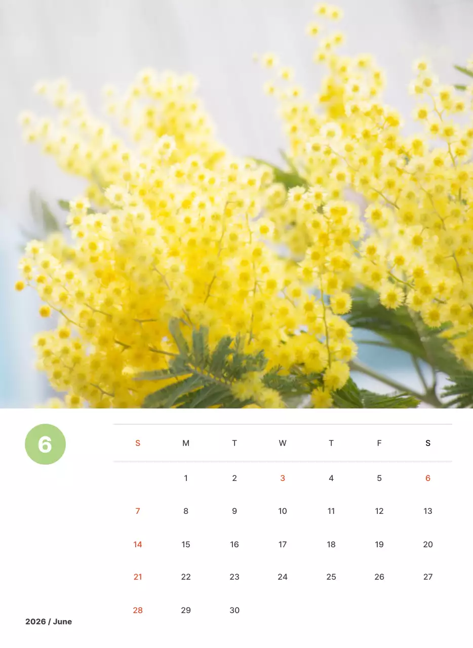 파스텔 컬러의 따뜻한 풍경 사진