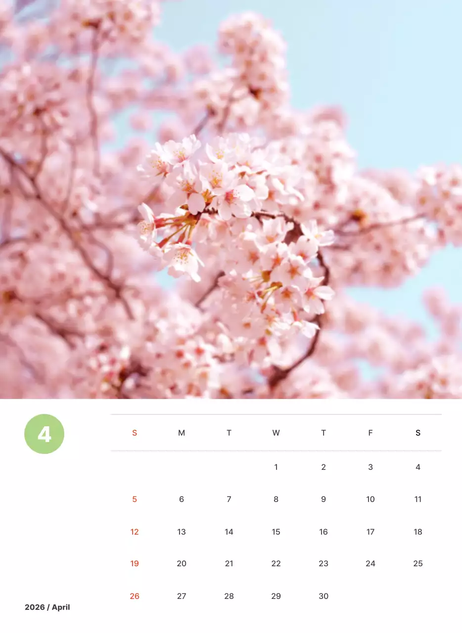 파스텔 컬러의 따뜻한 풍경 사진