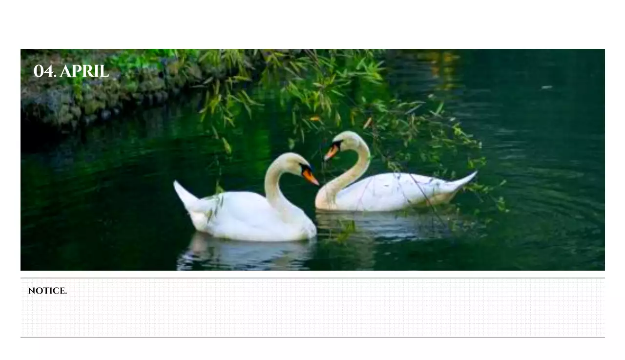 흑백 감성적인 여행 사진 컨셉의 심플한 스타일 벽걸이 달력