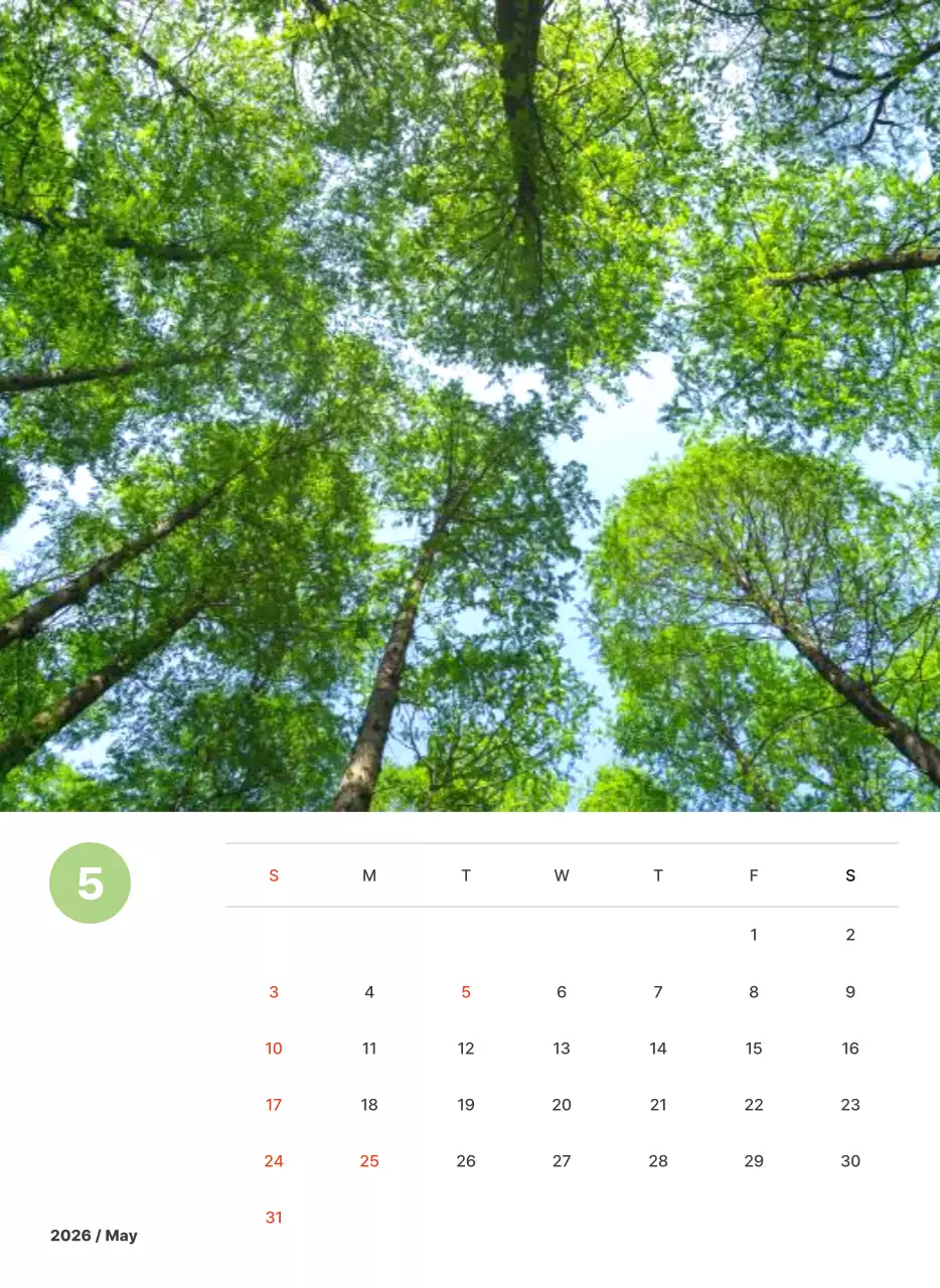 파스텔 컬러의 따뜻한 풍경 사진