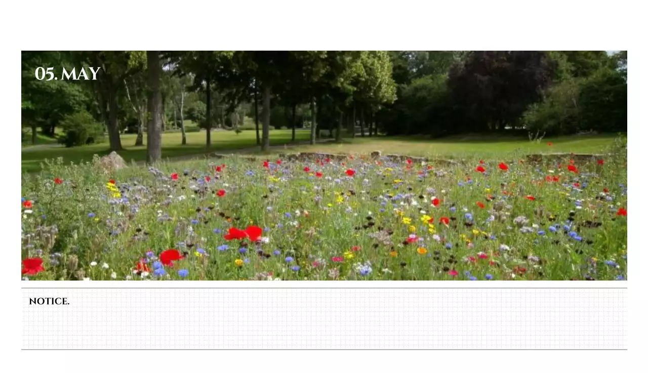 흑백 감성적인 여행 사진 컨셉의 심플한 스타일 벽걸이 달력