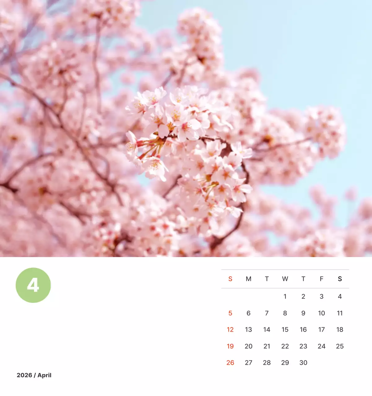 파스텔 컬러의 따뜻한 풍경 사진