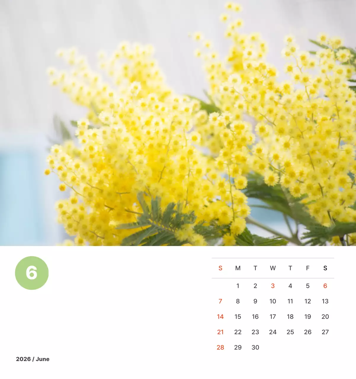 파스텔 컬러의 따뜻한 풍경 사진