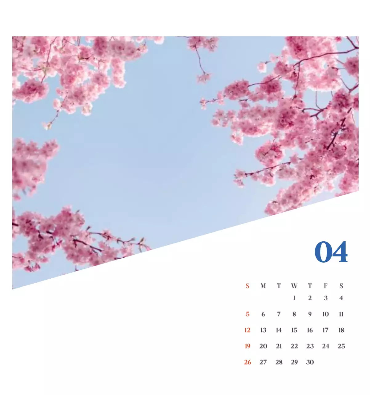 계절별 풍경 사진이 담긴 병원 달력