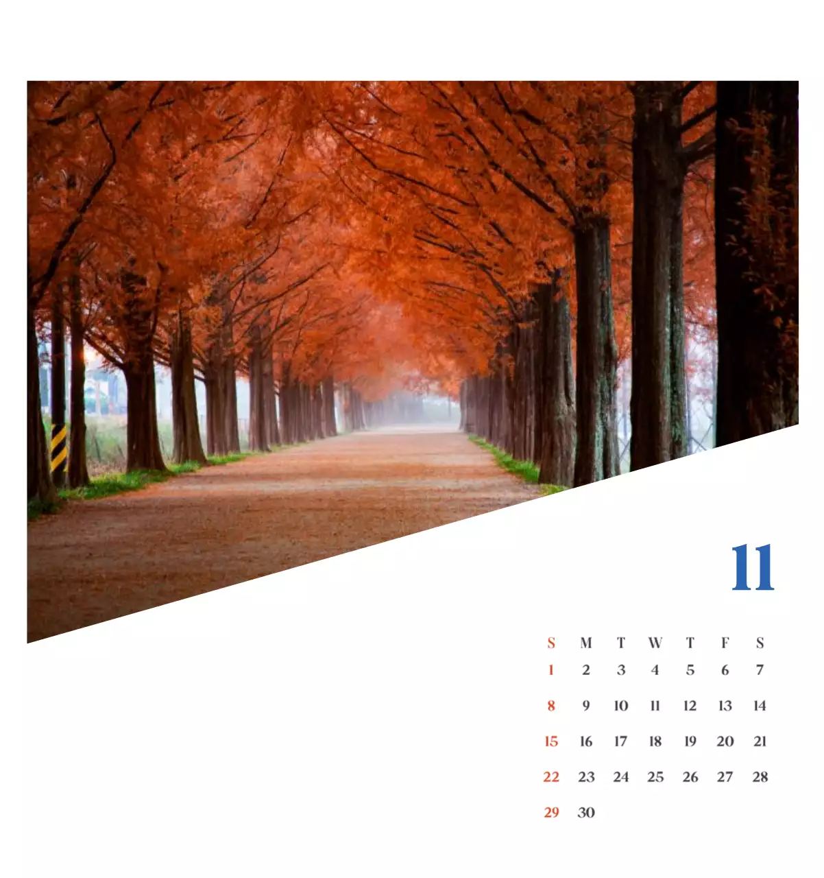 계절별 풍경 사진이 담긴 병원 달력