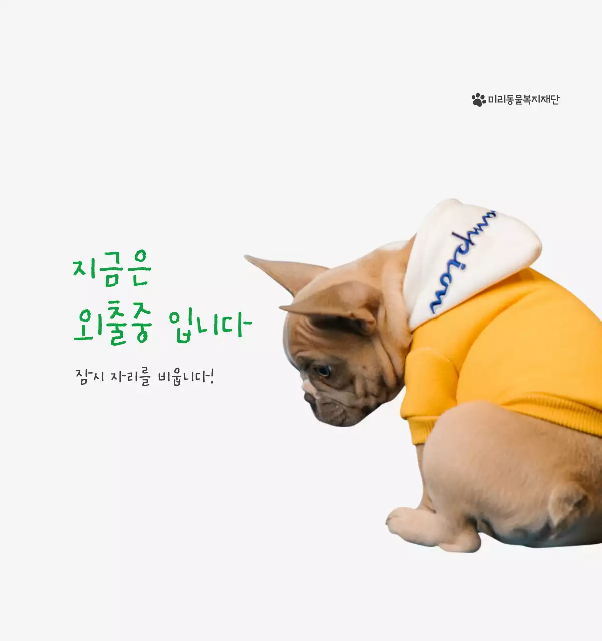 초록색 포인트 컬러에 강아지 사진과 귀여운 메시지가 있는 달력