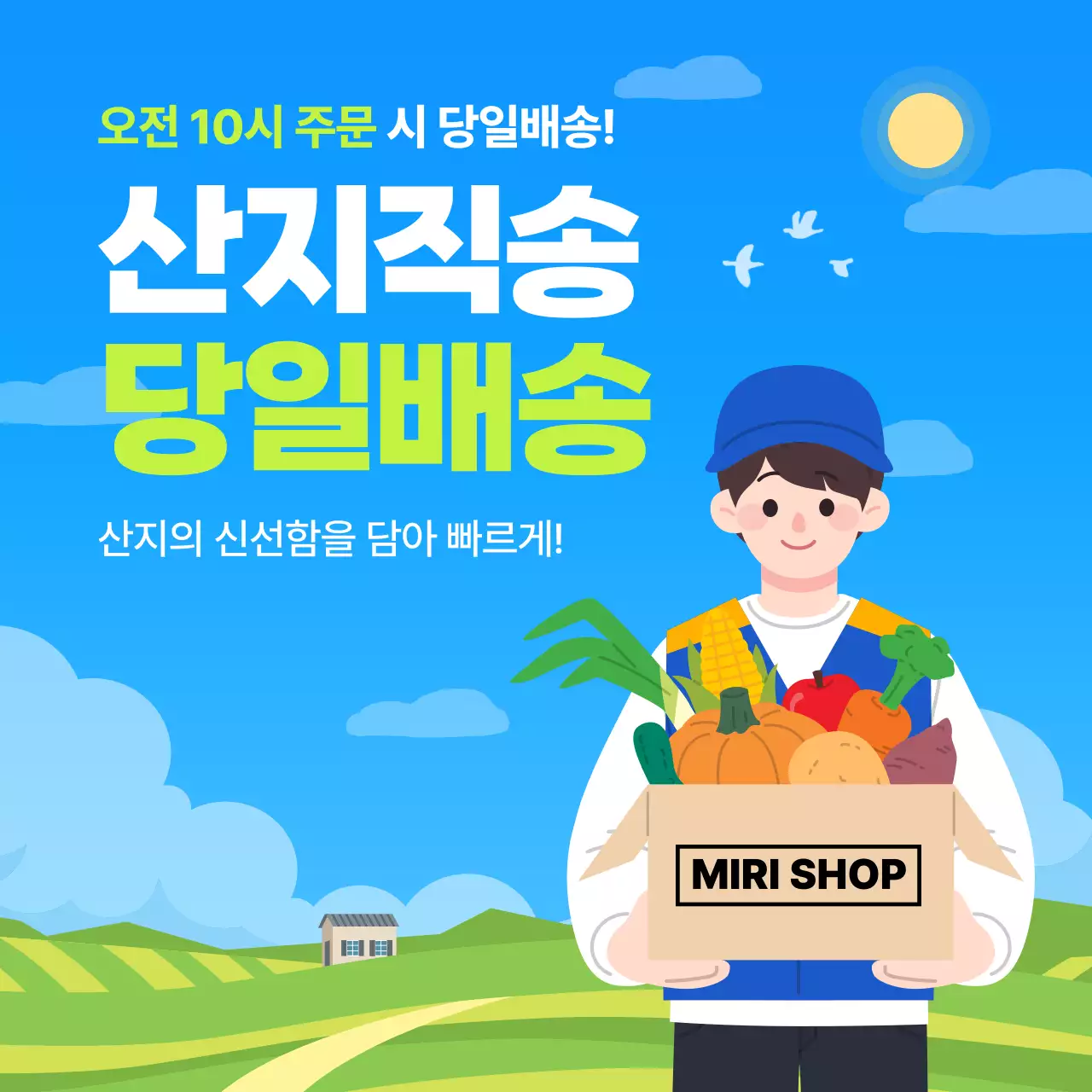 깔끔한 산지직송 당일배송